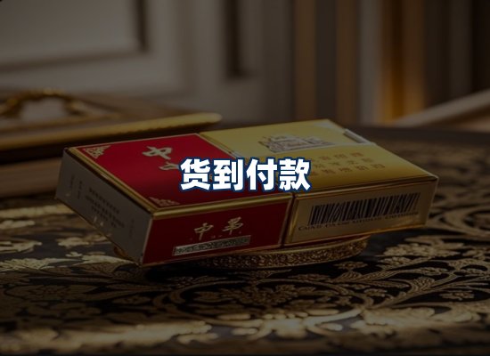 专业团队办公环境